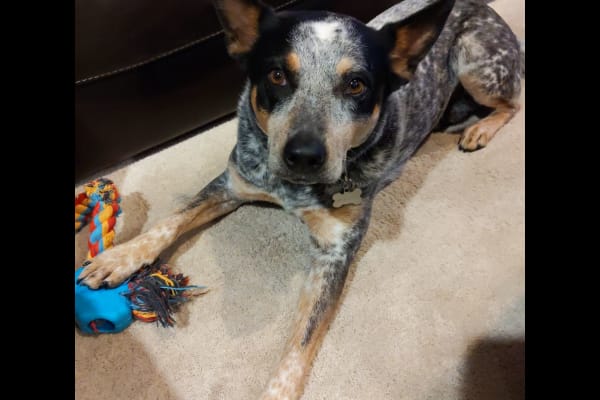 Princeton, New Jersey, United States