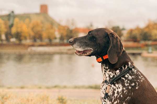 Vilnius, Vilnius County, Lithuania