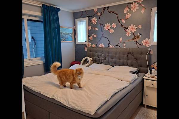 Sandnes, Rogaland, Norway