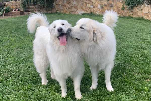 Canberra, Australian Capital Territory, Australia