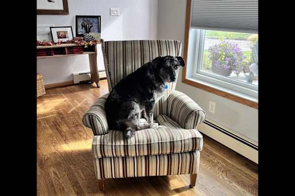 Cheyenne, Wyoming, United States