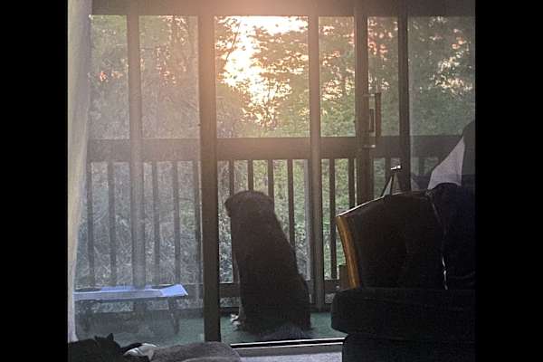 South Burlington, Vermont, United States