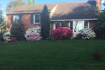 Falls Church,Virginia,United States