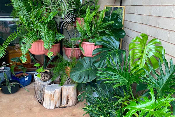 Alice Springs, Northern Territory, Australia