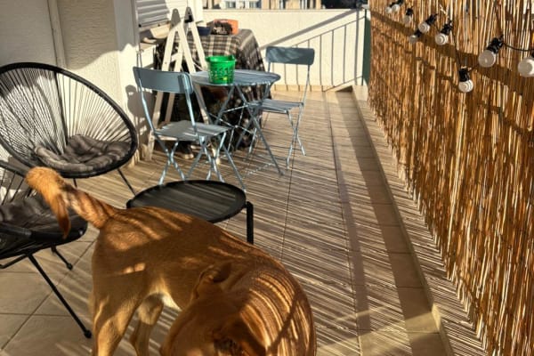 Athens, Attica, Greece