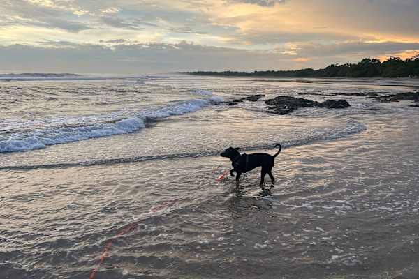 San José Pinilla, Guanacaste, Costa Rica