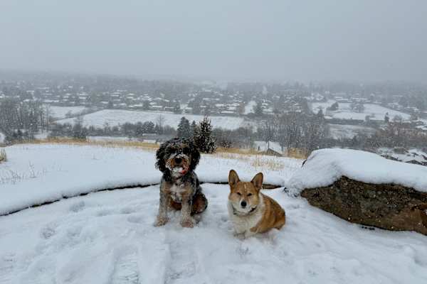 Bozeman,Montana,United States