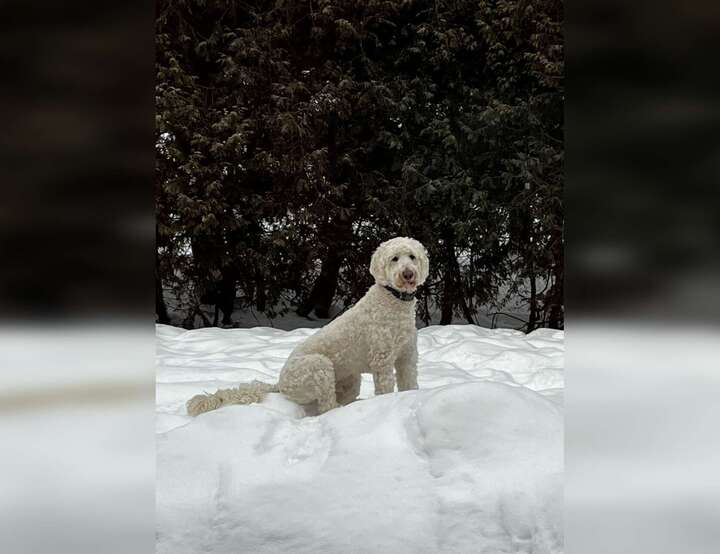 Hudson, Québec, Canada