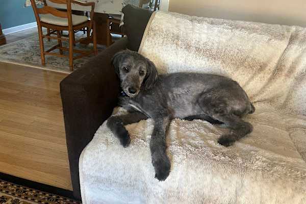 Princeton, New Jersey, United States