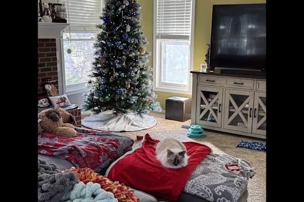 Sagamore Hills, Ohio, United States