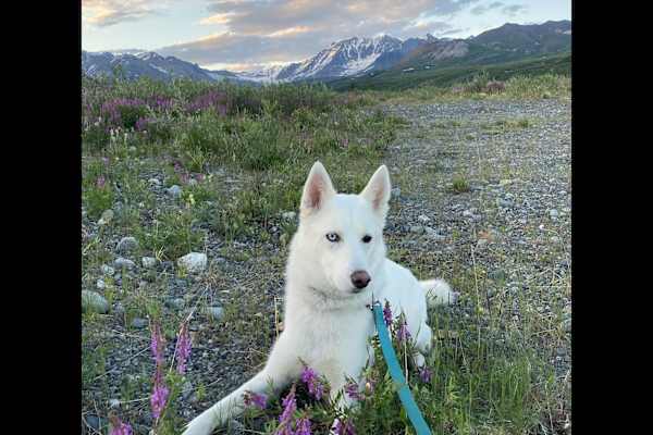 Juneau, Alaska, United States