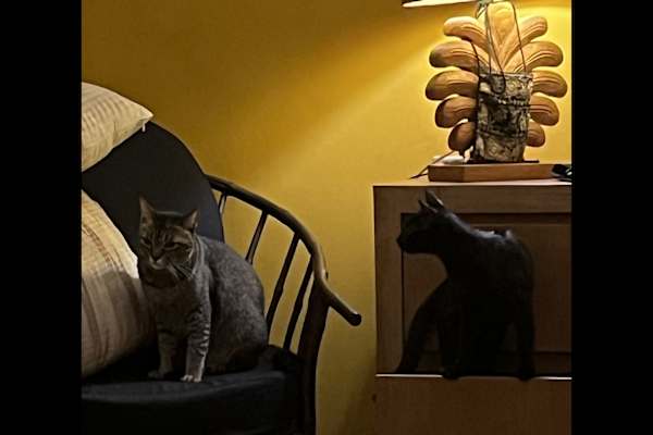 Canggu, Bali, Indonesia