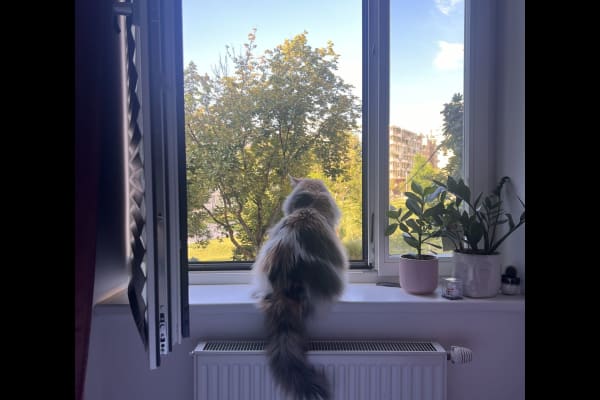 Vienna, Vienna, Austria