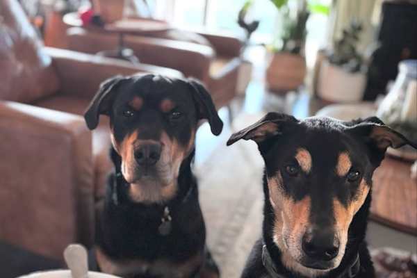 Nicholasville, Kentucky, United States