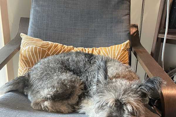 Seogwipo, Jeju-do, South Korea