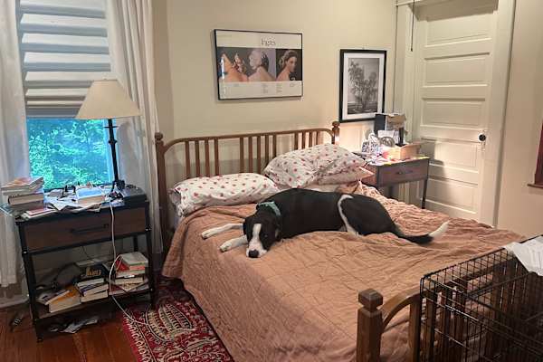 Lexington-Fayette, Kentucky, United States