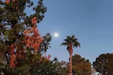 Scottsdale,Arizona,United States