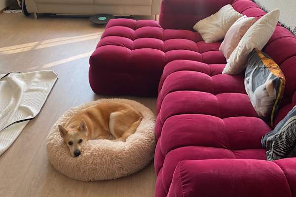 Amsterdam, North Holland, Netherlands