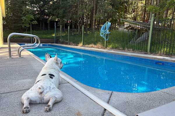 Bayview, Idaho, United States