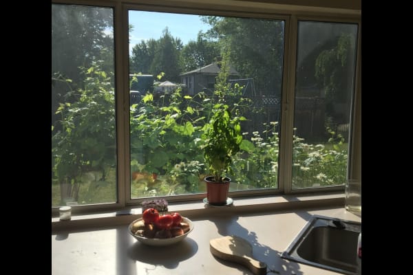 Boise, Idaho, United States