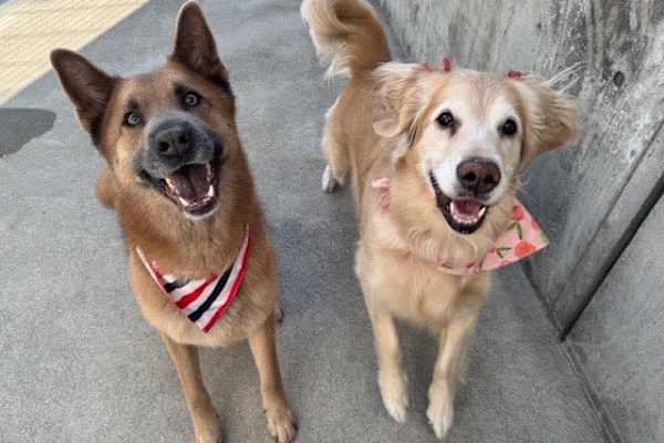 Yokohama, Kanagawa, Japan