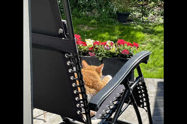 Copenhagen, Capital Region, Denmark