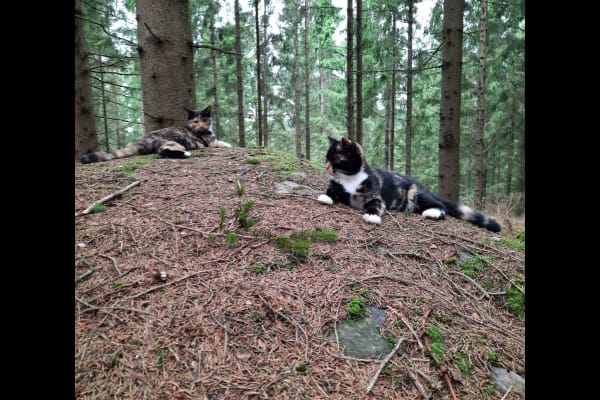 Varberg, Halland, Sweden