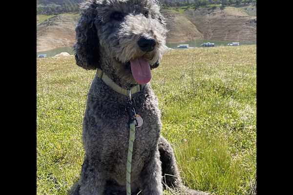 Sparks, Nevada, United States