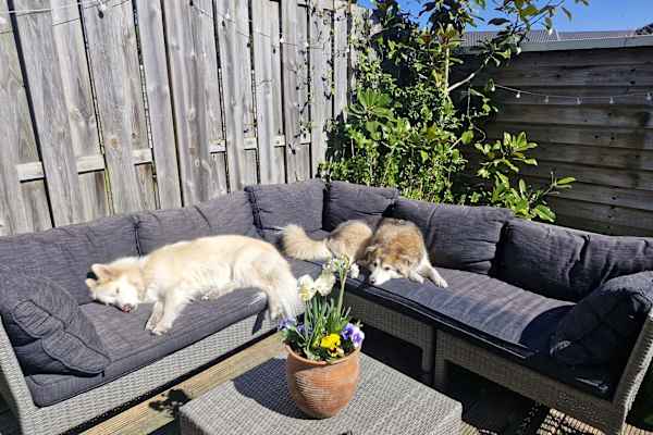 Arnhem, Gelderland, Netherlands