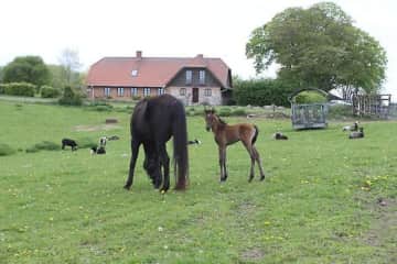 Hobro,North Denmark,Denmark