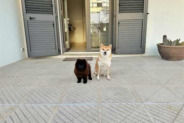 Lecce, Apulia, Italy