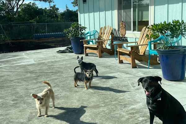 Kea‘au, Hawaii, United States