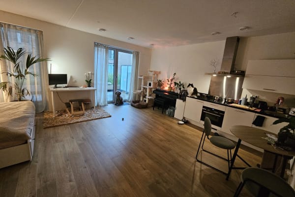 Scheveningen, South Holland, Netherlands