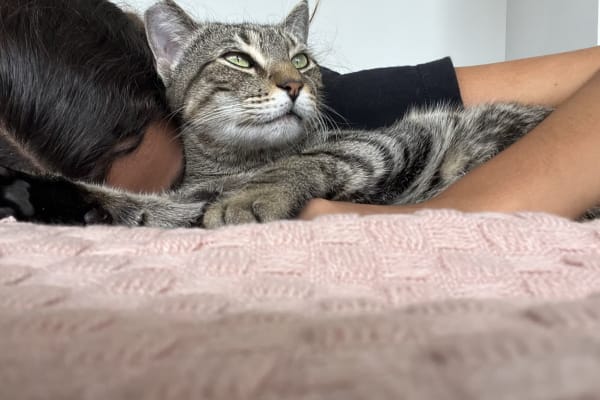 Valencia, Valencia, Spain