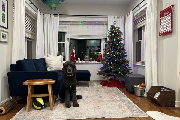 Chicago, Illinois, United States