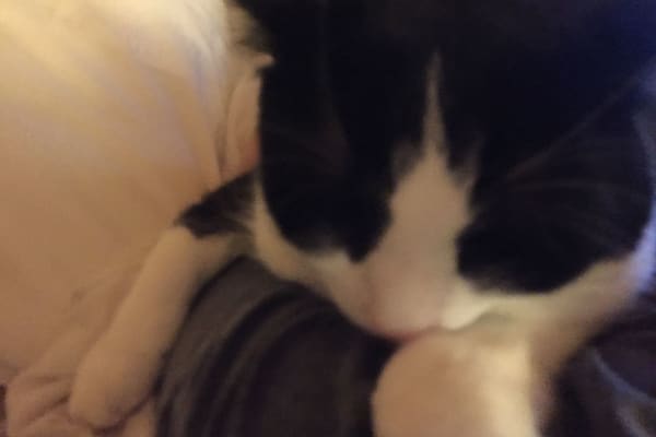 Scheveningen, South Holland, Netherlands