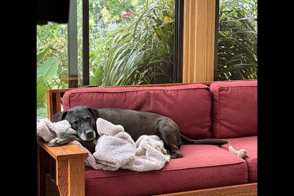 Boston, Massachusetts, United States