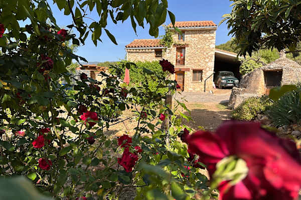 Adzaneta, Valencia, Spain