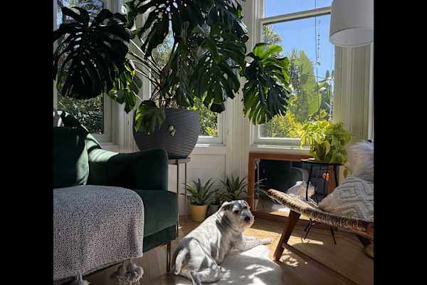 San Francisco, California, United States