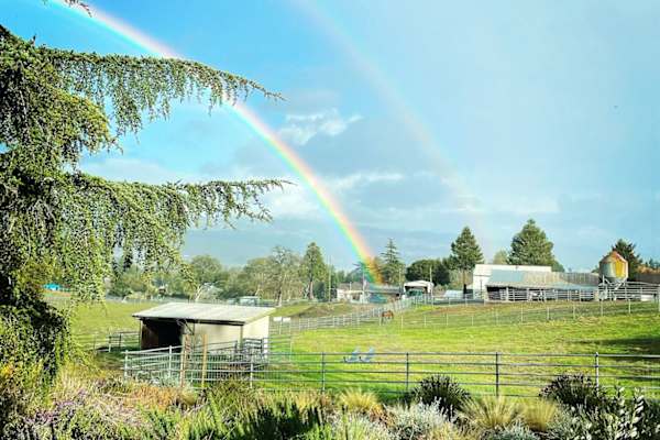Petaluma, California, United States