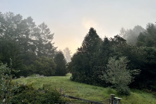 Corralitos, California, United States