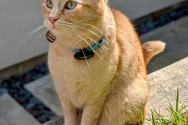 San Francisco, California, United States