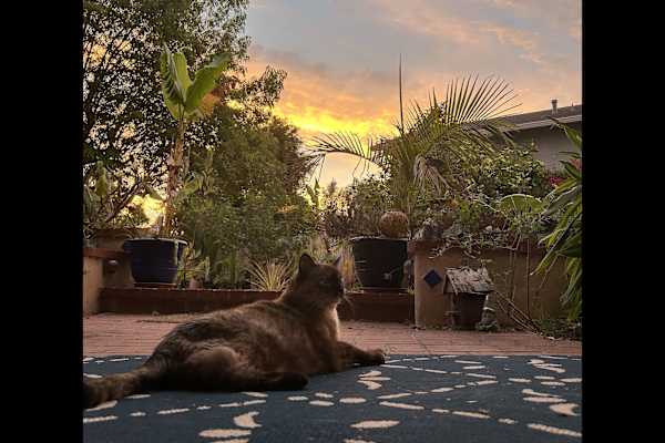 San Diego, California, United States