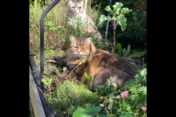 Dún Laoghaire, Leinster, Ireland