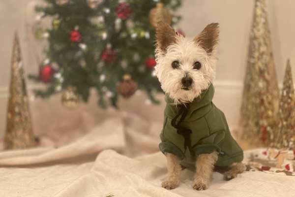 Boston, Massachusetts, United States