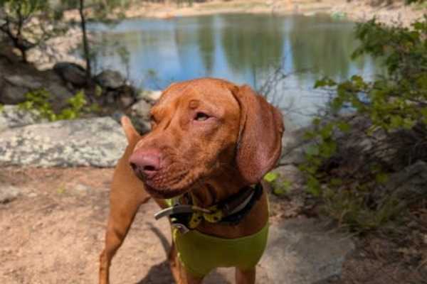 Prescott Valley, Arizona, United States