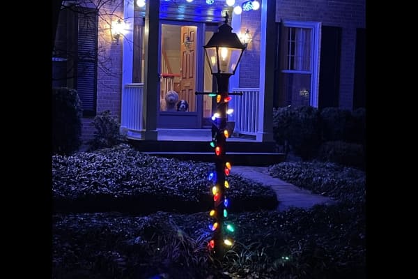 North Bethesda, Maryland, United States