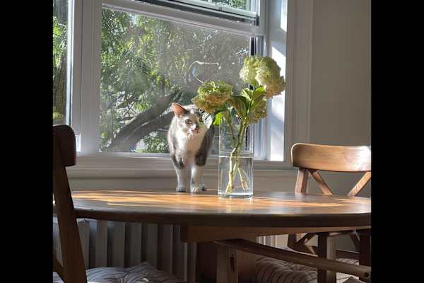 Ottawa, Ontario, Canada