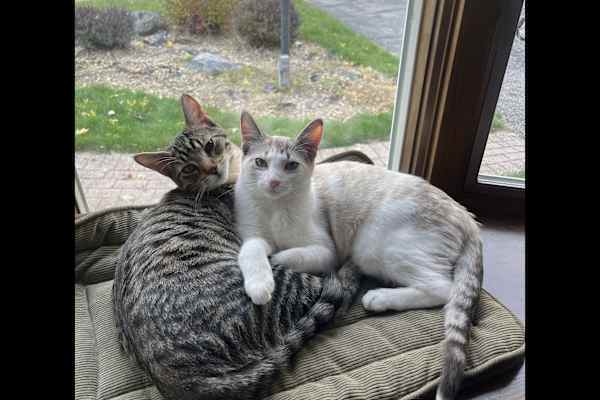 Madison, Wisconsin, United States