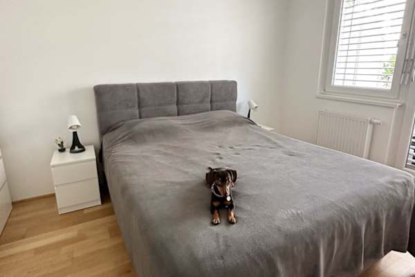 Vienna, Vienna, Austria